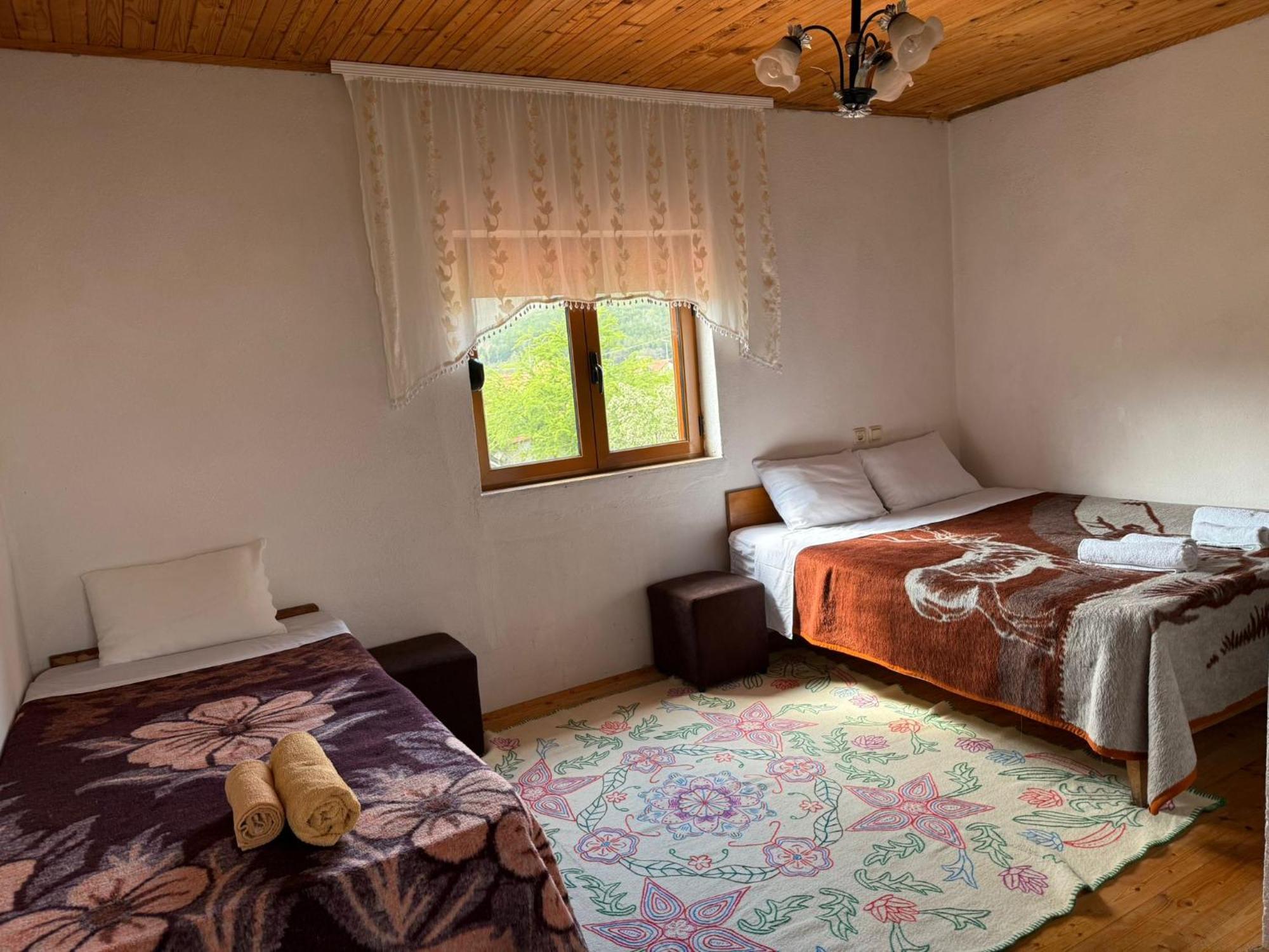 Prespa'S Balcony Guesthouse Dolna Gorica Kültér fotó